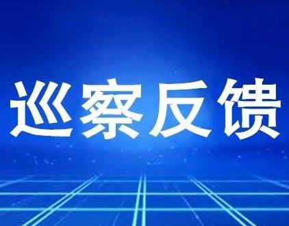 市委第三巡察组向团市委 反馈巡察情况